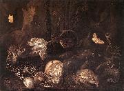 SCHRIECK, Otto Marseus van Still-Life with Insects and Amphibians ar Norge oil painting reproduction